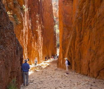 Standley Chasm