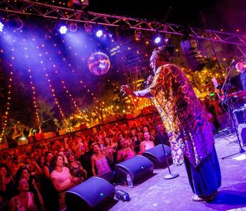 Electric Fields performing