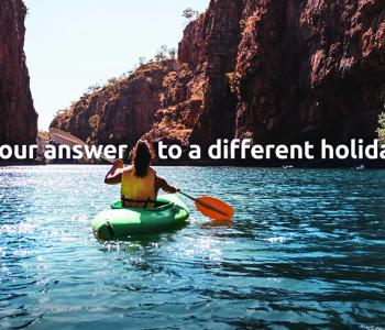 The Territory is the answer Banner