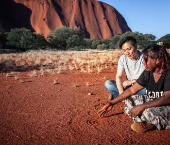 Boost for Red Centre with increase of flights