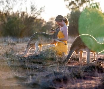 Girl pets a kangaroo at the Kangaroo Sanctuary in Alice Springs