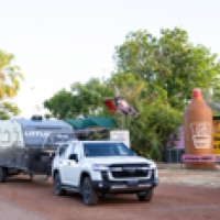 Drive domestic (long-haul)