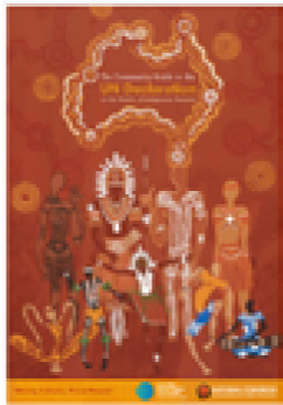 United Nations Declaration on the Rights of Indigenous People (2007)