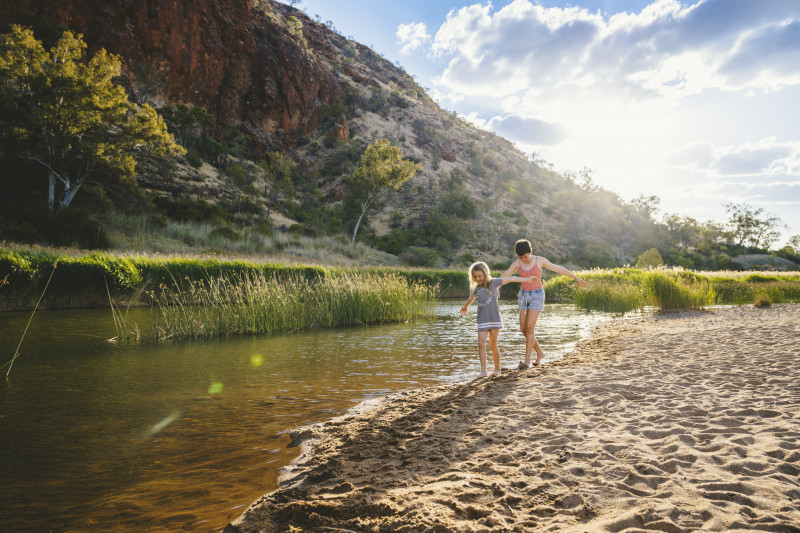 Domestic Distribution